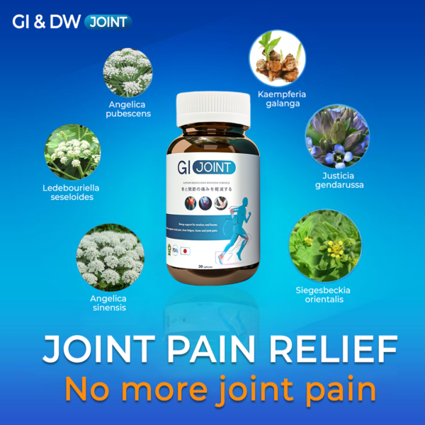 GI JOINT - HEALTH SUPPLEMENT - Image 5